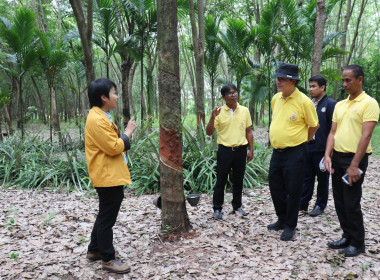 ตรวจประเมินรางวัลเลิศรัฐ สาขาการบริหารราชการแบบมีส่วนร่วม ... พารามิเตอร์รูปภาพ 11